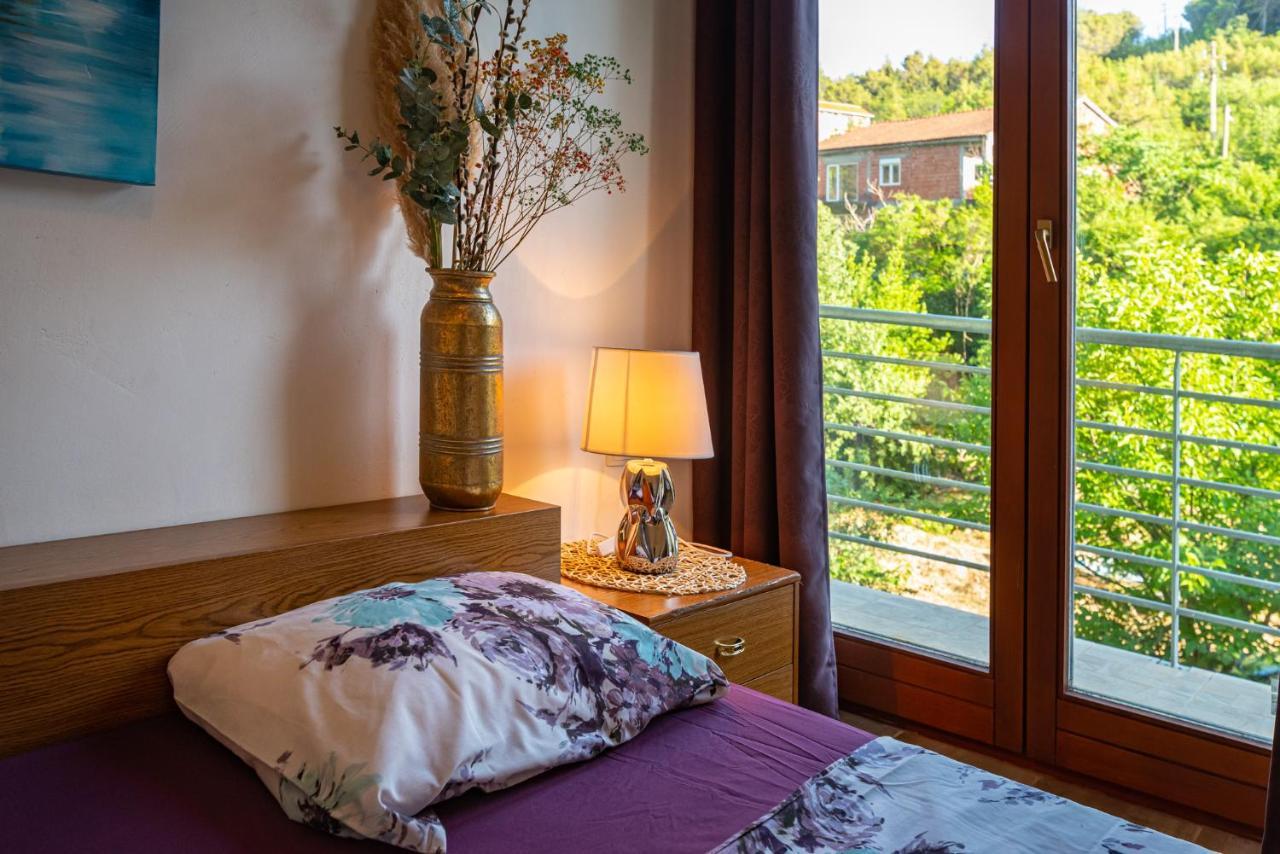 Apartments Maris Novigrad  Exterior photo
