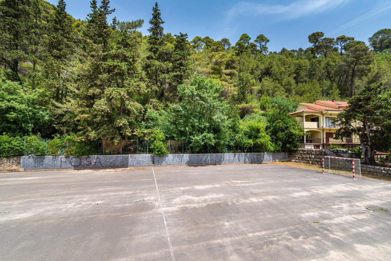 Apartments Maris Novigrad  Exterior photo